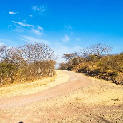 2013 - Sierra de Huautla